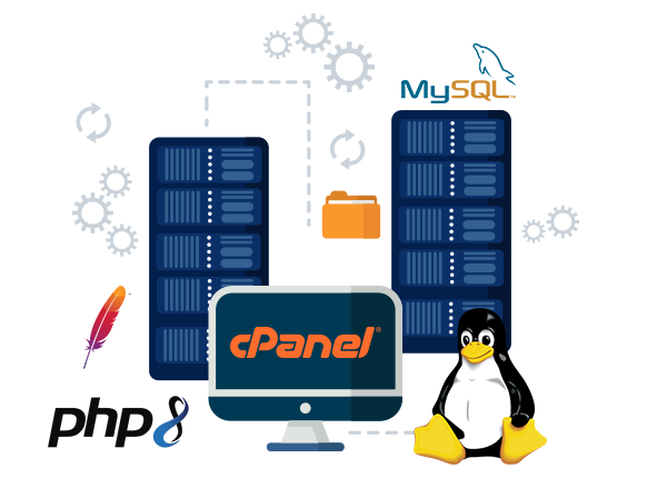 Linux cPanel Hosting